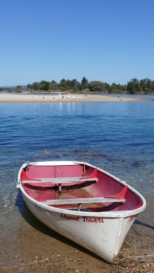 Nambucca boat and pelicans