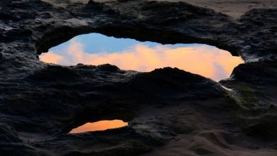 Photo of A selection of images from November