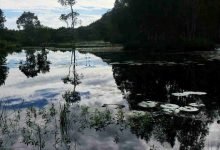 Photo of Yurruun.ga wetlands ~ album has closed, with wonderful feedback