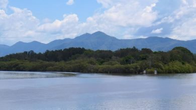 Photo of Birding 26 Feb