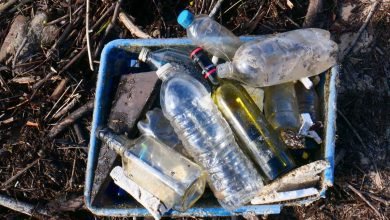 Photo of Waiting for the world in colour, Day 2