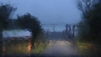 Photo of Waiting for the world in colour, Day 3