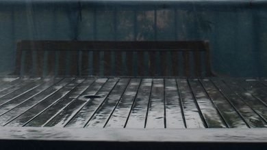 Photo of Waiting for the world in colour, Day 4