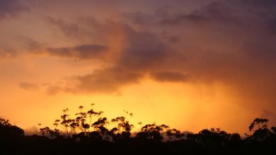 Photo of Waiting for the world in colour, Day 5