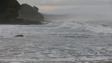 Photo of Sunday Morning