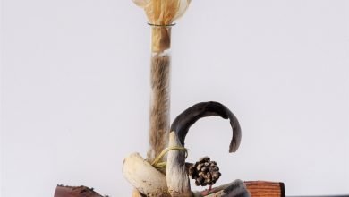 Photo of Bronwyn Rodden, Janet Reinhardt exhibition, Glebe, 27 May