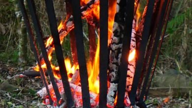 Photo of Fire