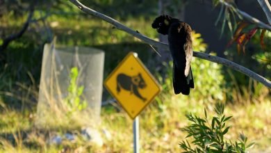 Photo of Lockdown, Tuesday, Aug 24th