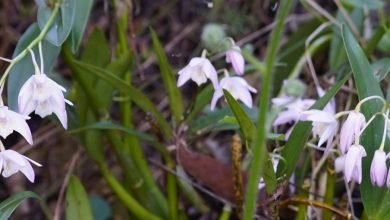Photo of Lockdown, Thursday, Aug 26th