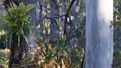 Photo of Lockdown, Saturday, Aug 28th