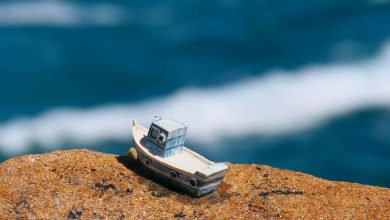 Photo of Lockdown, Monday, Aug 30th