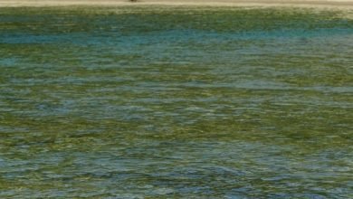 Photo of Missing the hail, Oct 20