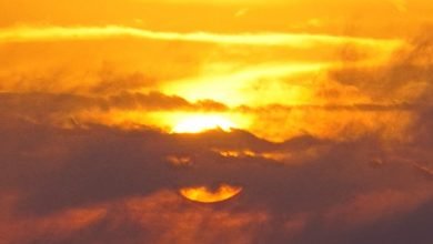 Photo of The local weather forecast, Oct 28