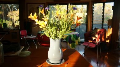 Photo of  Inside and out, 3 Oct