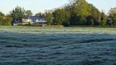 Photo of Frost, Nov 5