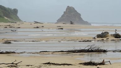 Photo of A cyclonic sea, 4 Jan