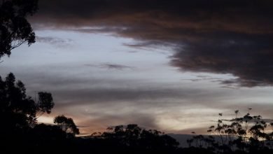 Photo of Light, coming and going, 28 Dec