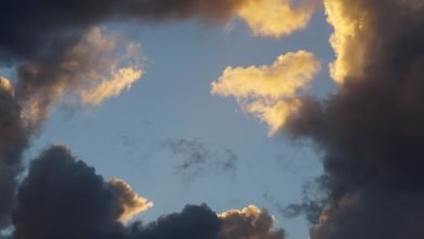 Photo of Everyone has a sky, 6 Feb