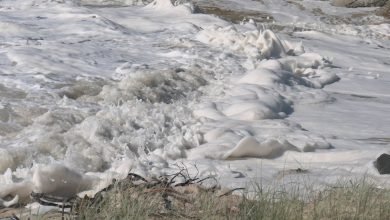 Photo of The sea has curdled, 2 March