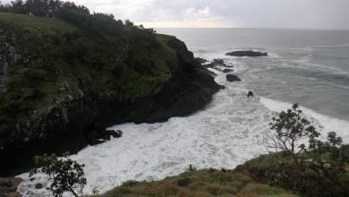 Photo of Bad day for birding, 13 March