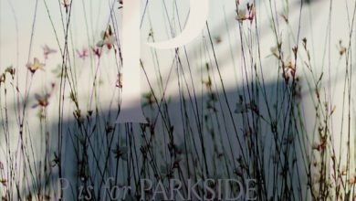Photo of Selling paradise in Sydney via units
