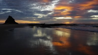 Photo of The Oceans are not infinite