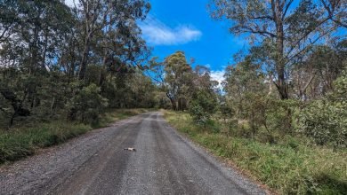 Photo of Photos and a Poem, Point Lookout, 9 Feb