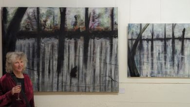 Photo of Wyn’s Bongil Bongil Paperbark paintings, 27 April