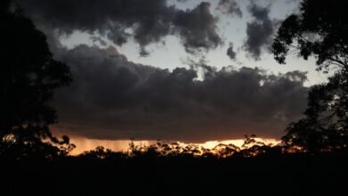 Photo of Dusk, 17 Sept