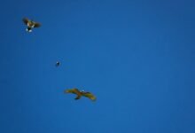 Photo of Natural phenomena,  3 Oct