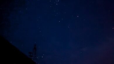 Photo of All Saints Day, 1 Nov