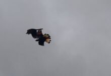 Photo of Instant change, 12 December