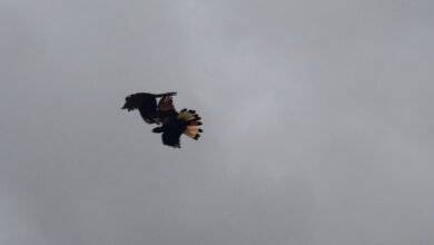 Photo of Instant change, 12 December