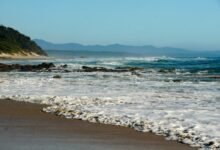 Photo of Poem for Micklo, 22 Jan