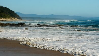 Photo of Poem for Micklo, 22 Jan