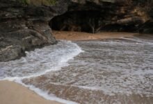 Photo of Eos,  31 January