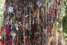 Photo of Boeung Choeung Ek (‘Crow’s Feet Pond’)