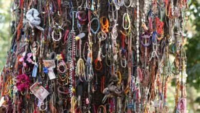 Photo of Boeung Choeung Ek (The Killing Field)