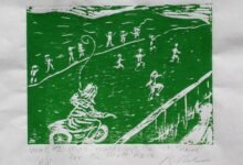 Photo of Bronwyn’s shearing sheep adventures