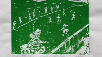 Photo of Bronwyn’s shearing sheep adventures