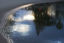 Photo of The day after the winter solstice