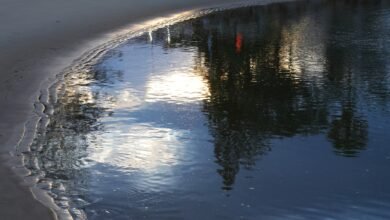 Photo of The day after the winter solstice